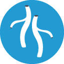 Dyslipidemia-Atherosclerosis