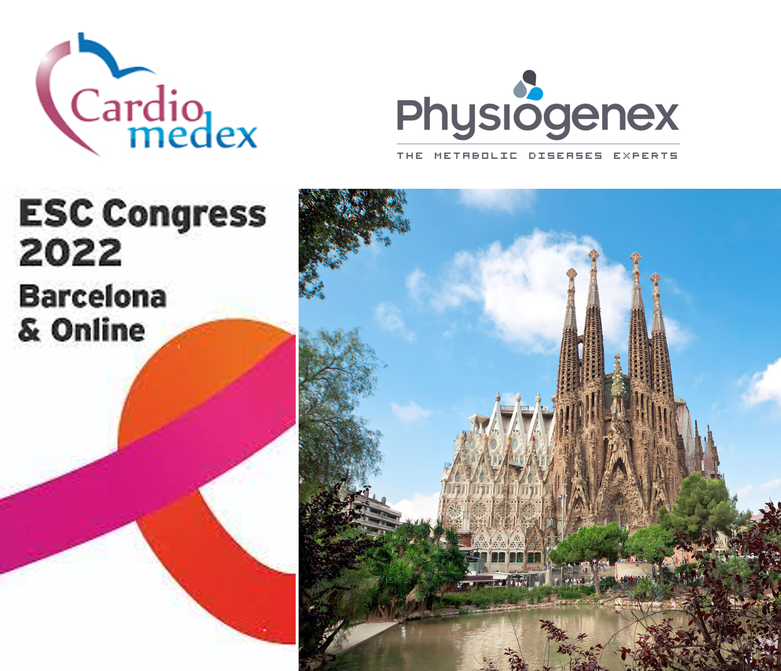 Physiogenex and Cardiomedex to present a new diabetic NASH HFpEF