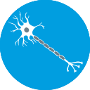 Diabetic neuropathy